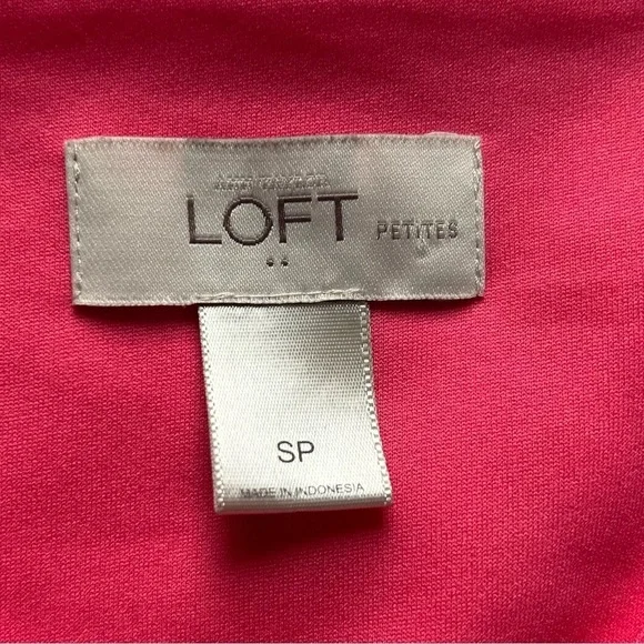 Ann Taylor Loft Factory Pink & Blue Colour Block Dress - Picture 9 of 11